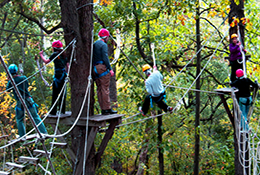 Group of people on a ropes course